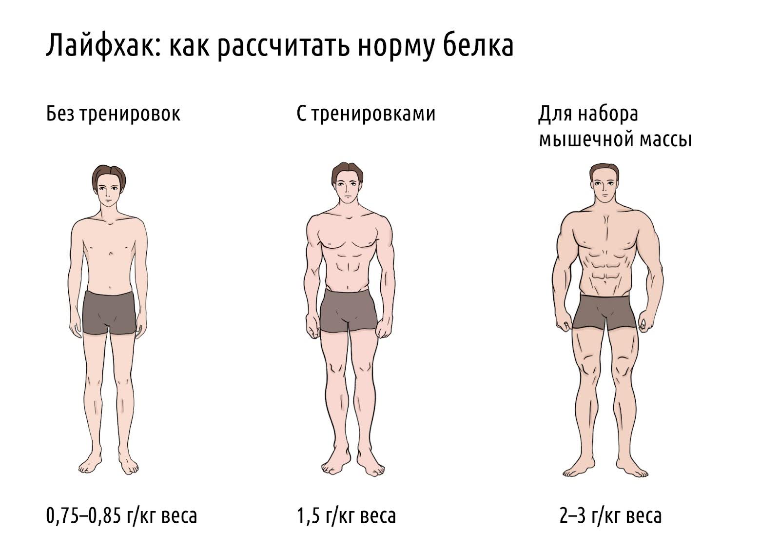 Как правильно пить протеин: какой вид выбрать, когда употреблять и сколько – 2