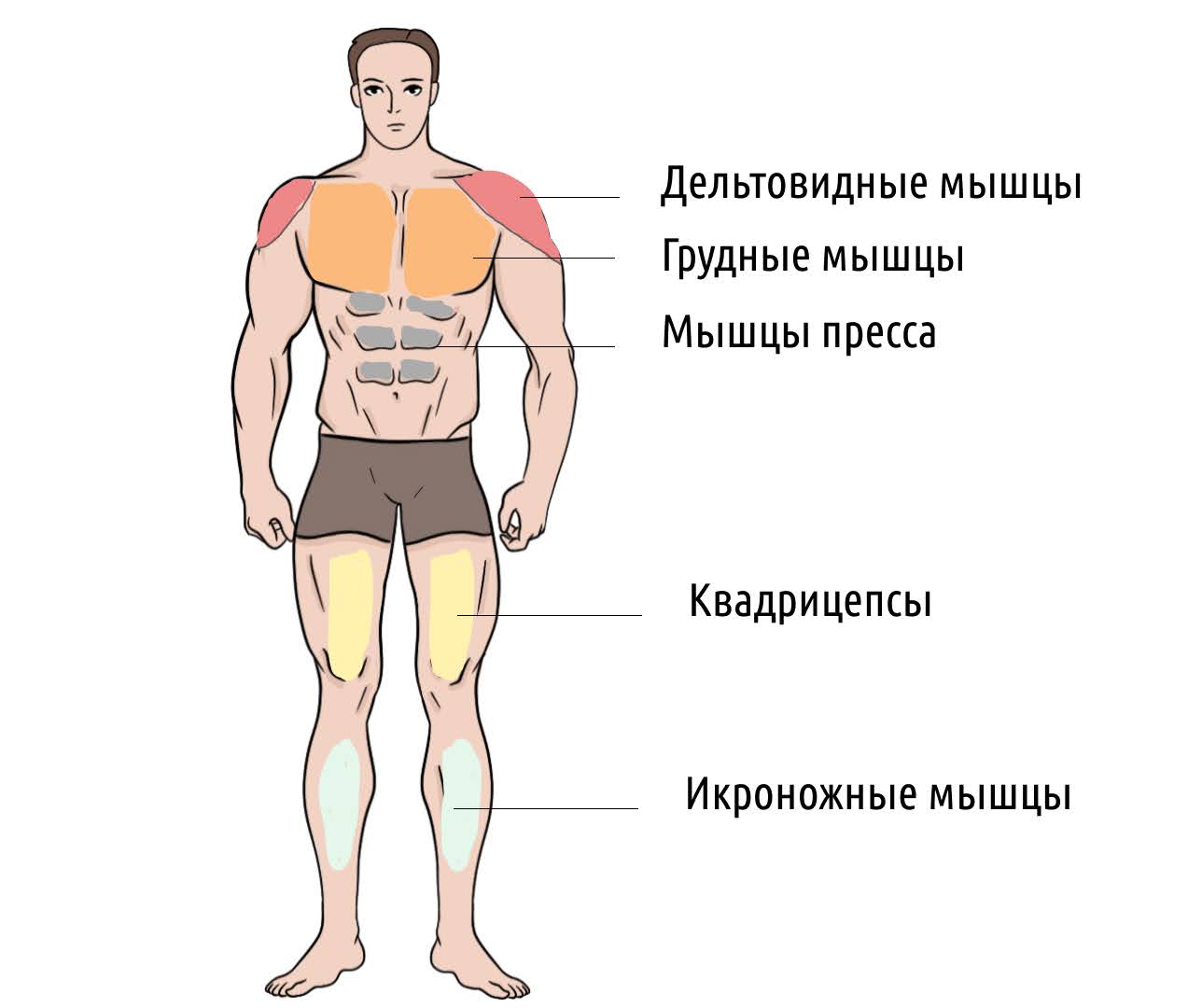 Упражнение «Бёрпи»: техника, виды и польза – 1