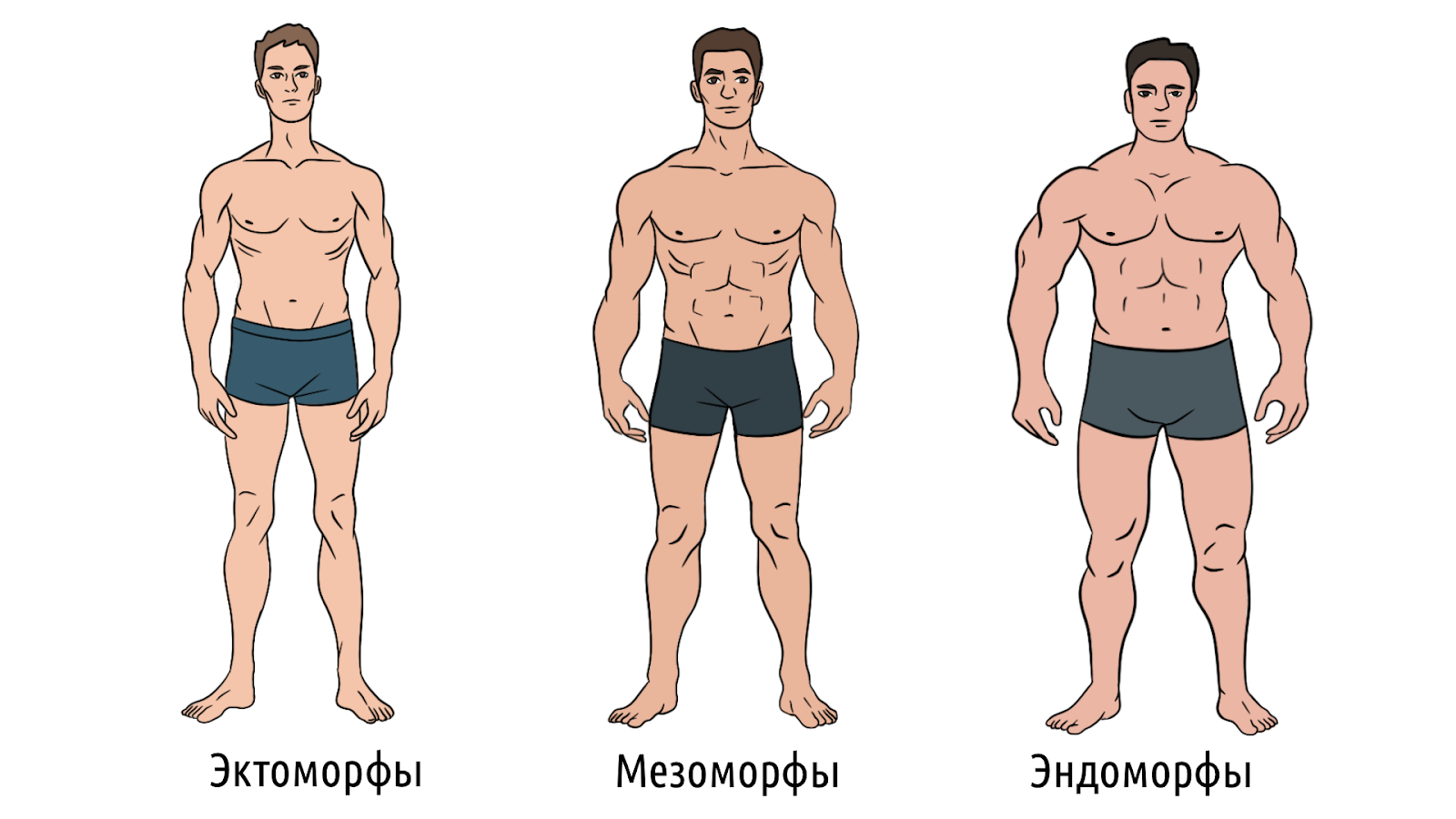 Почему одни худеют, а другие нет, и как это изменить – 1
