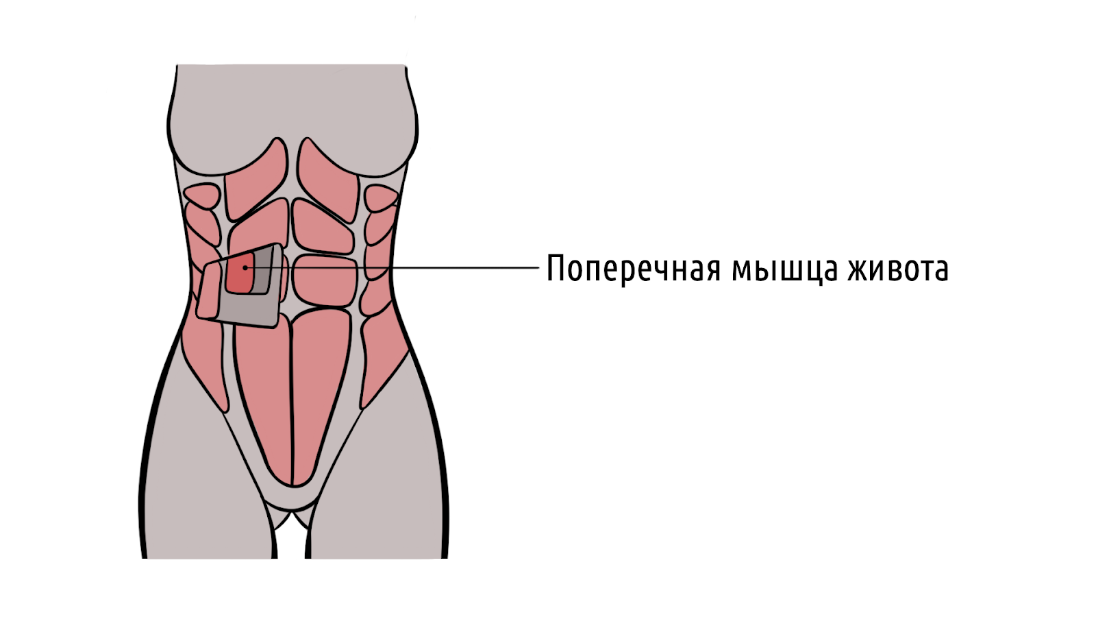 Как делать вакуум живота, чтобы не навредить организму &ndash; 1