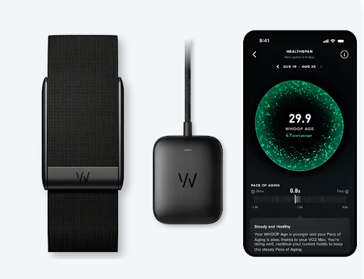 Обзор Whoop: что это за фитнес‑браслет и как его использовать &ndash; 1