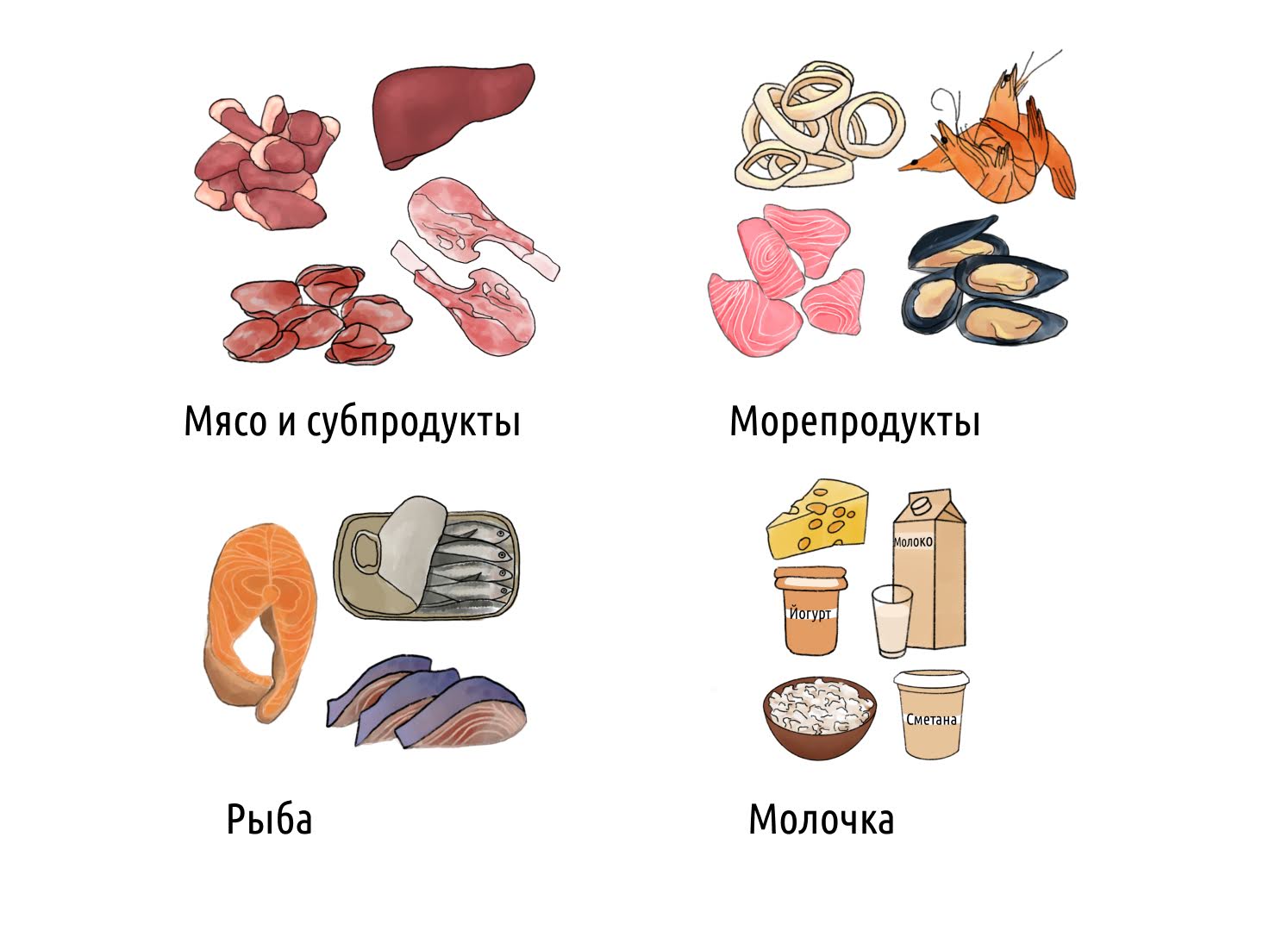 В каких продуктах содержится витамин B12 – 1