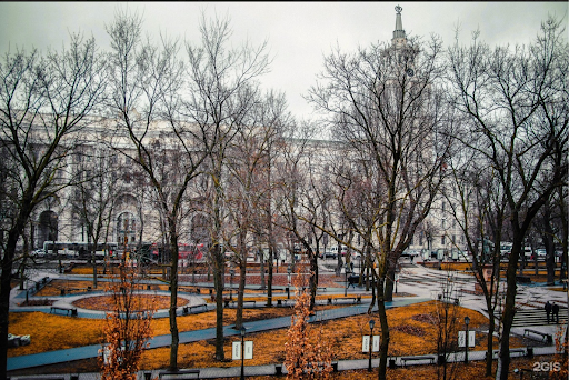 Где бегать в Воронеже: места и маршруты – 6