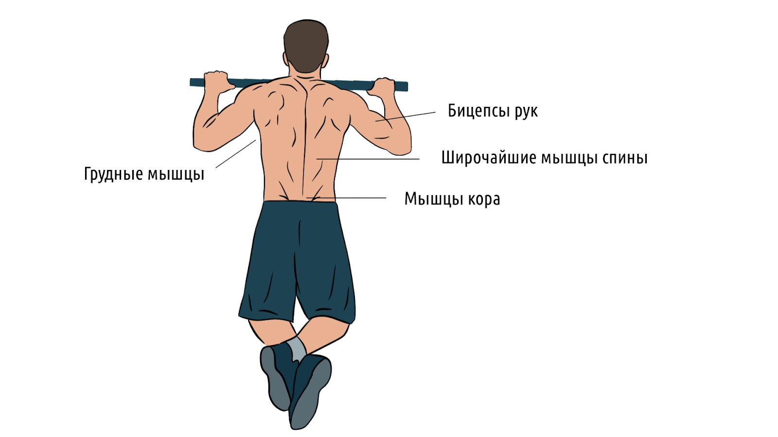 Как правильно подтягиваться, чтобы накачать рельефную спину &ndash; 1
