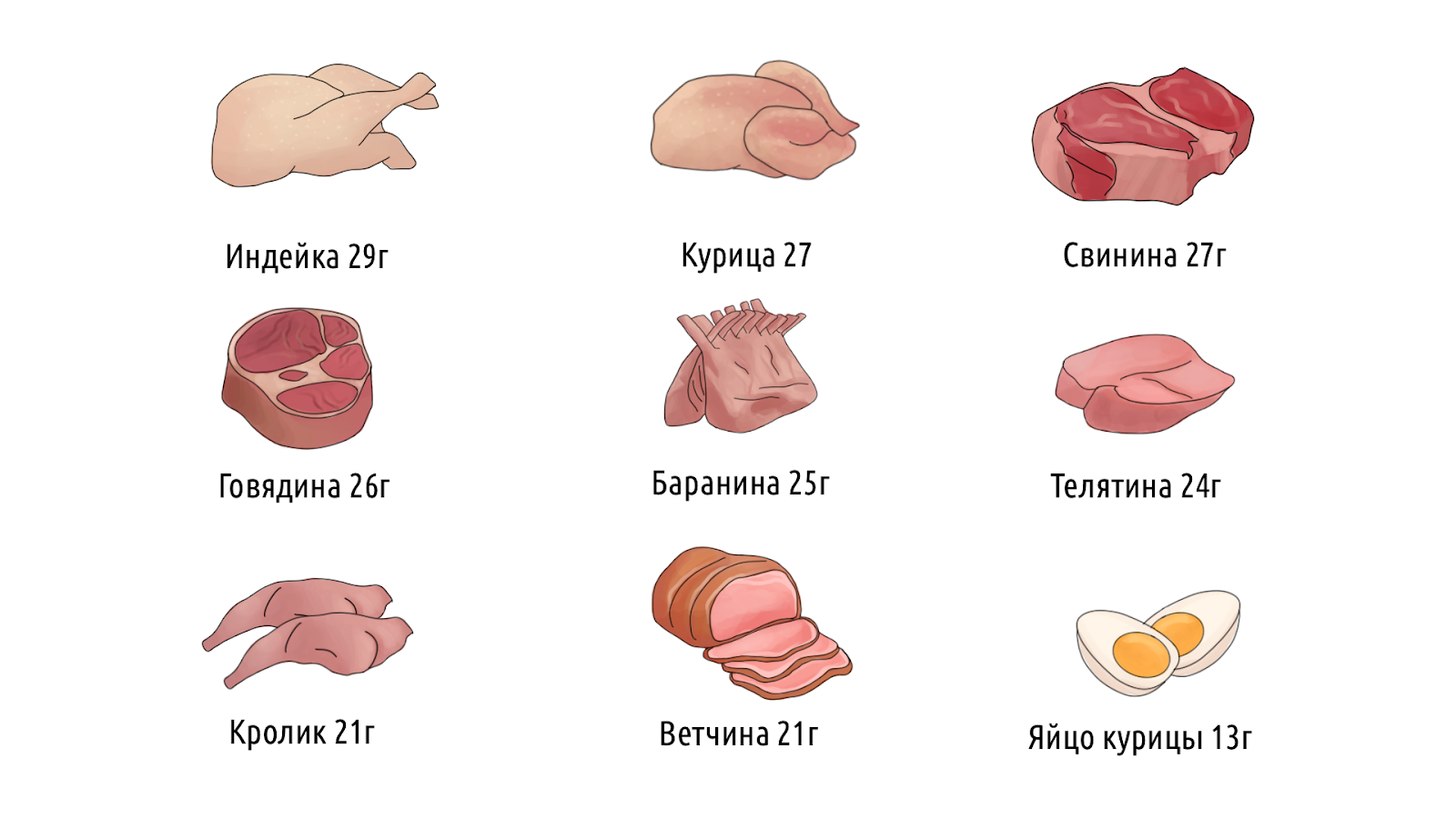 Что такое белок, и какую роль он играет в организме человека &ndash; 8
