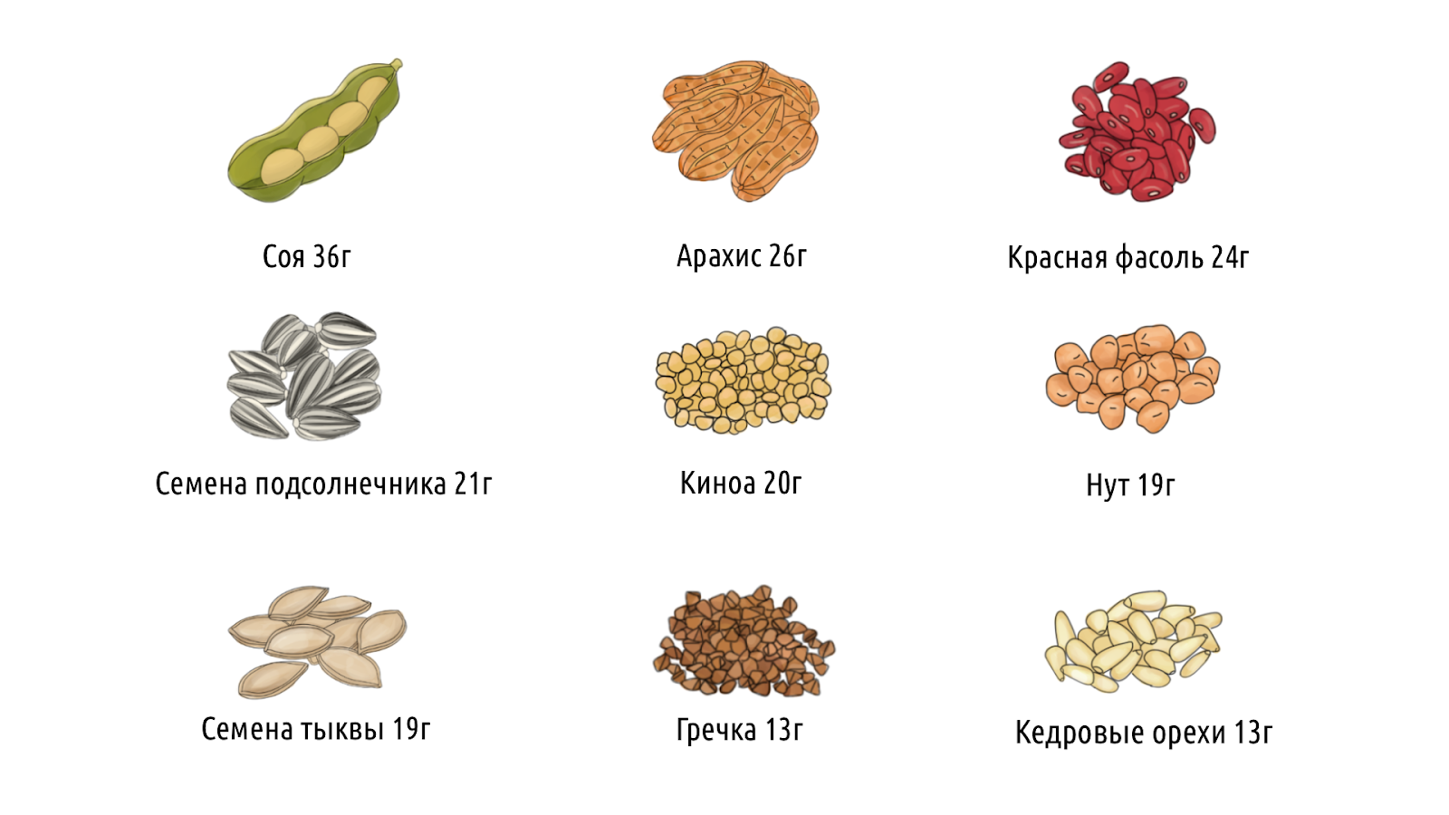 Что такое белок, и какую роль он играет в организме человека &ndash; 7
