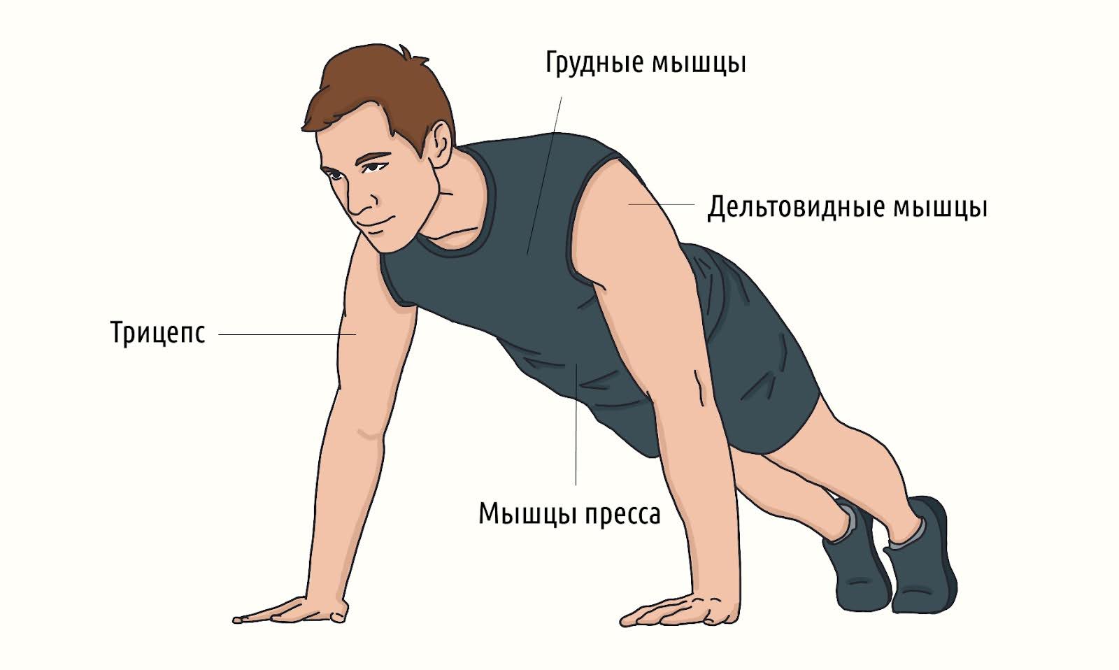 Как отжиматься от пола: правильная техника и виды упражнений – 2